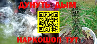 прущие грибы Обь