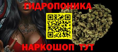 прущие грибы Обь