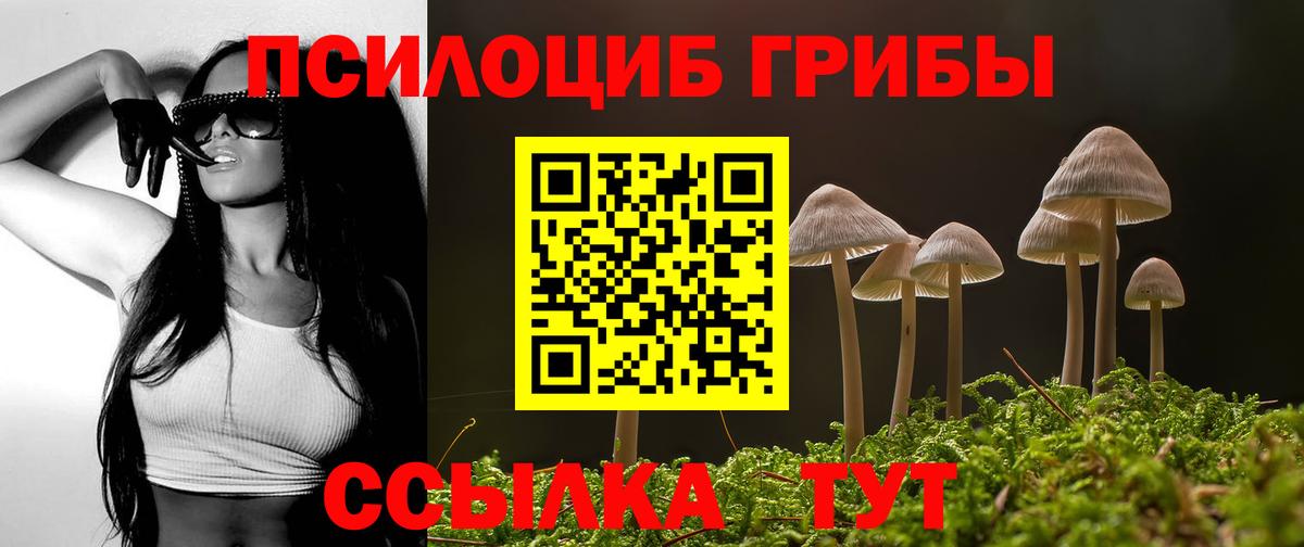 Россошь  Галлюциногенные грибы Psilocybe  купить наркоту  Псилоцибиновые грибы Psilocybine cubensis  Вход с VPN 