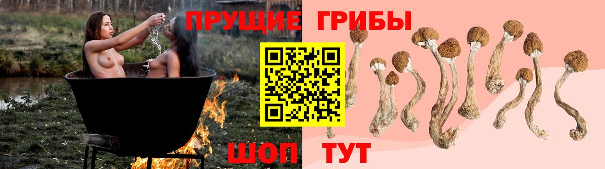 Галлюциногенные грибы прущие грибы Россошь